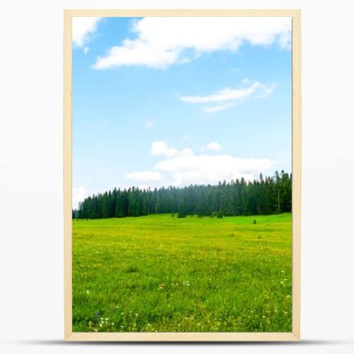 green valley with trees and cloudy sky in Durmitor massif, Montenegro