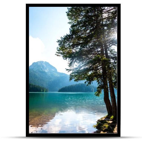 beautiful Bear mountain (meded peak), glacial Black Lake and trees on shore in Montenegro