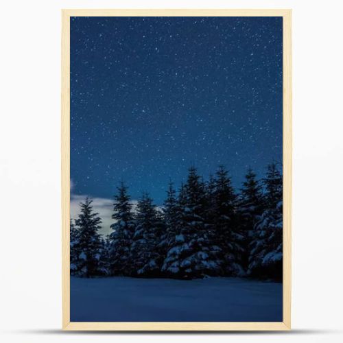 starry dark sky and spruces in carpathian mountains at night in winter