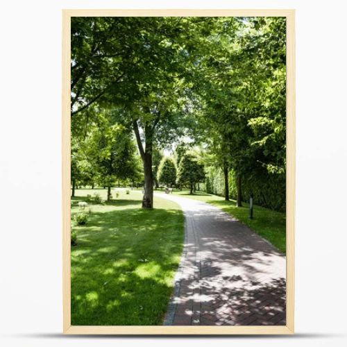 shadows on green grass with bushes and trees near path in park 