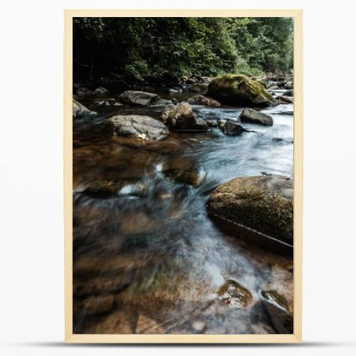 selective focus of flowing stream near wet rocks with green mold 