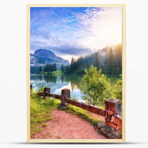 Majestic summer view of mountain lake Lacul Rosu or Red Lake or Killer Lake. Rotten tree trunks. Logs coming out of the water. Harghita County, Eastern Carpathians, Romania, Europe