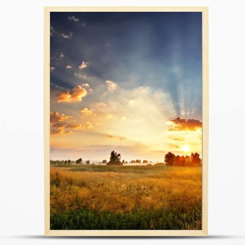 Dawn in a field
