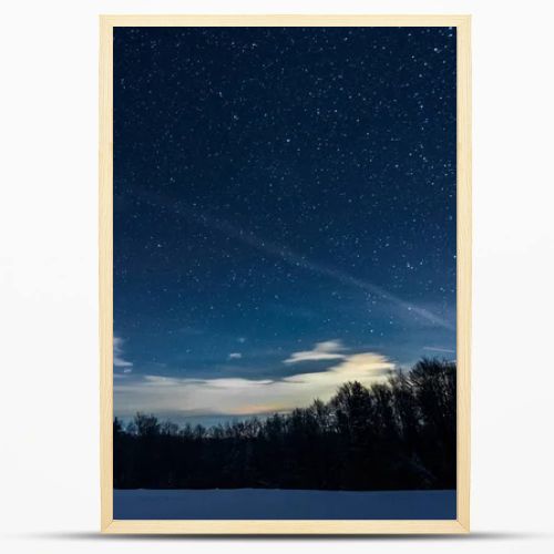 starry dark sky with sprucesin carpathian mountains at night in winter