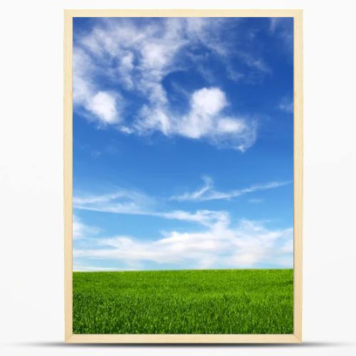 Field on a background of the blue sky