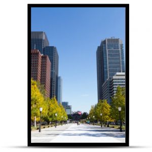 Tokyo central city in autumn / Fall scenery around the Imperial Palace in the central of Tokyo,Japan