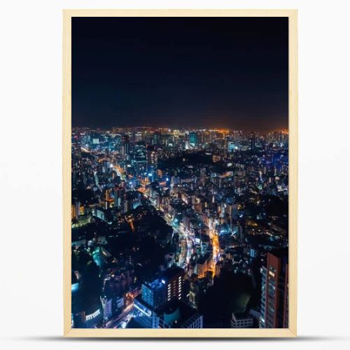 Aerial view of Tokyo, Japan