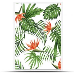 strelitzia orange white background pattern