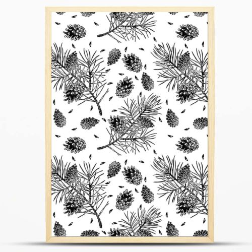 Pine seamless pattern isolated on white. Pinus sylvestris branch, cone, seed.