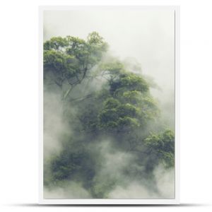 las tropikalny w Japonii, dżungla natury z zielonymi drzewami i mgłą, koncepcja terapii zinem, wygodna swoboda, relaks w spa i