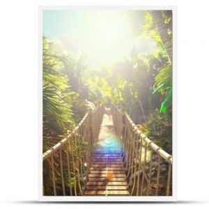 Drewniany most nad zieloną dżunglą Zielone drzewa w dżungli i palmy z błękitnym niebem i jasnym słońcem Renderowanie 3D