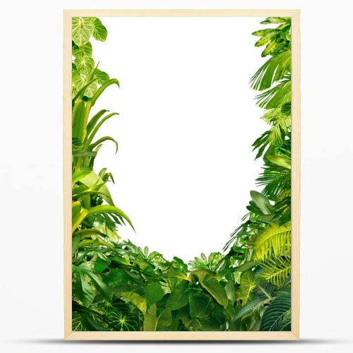 Tropical Plants Blank Frame