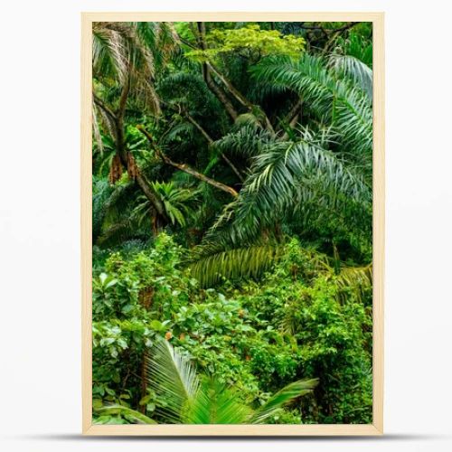 Lush tropical green jungle 