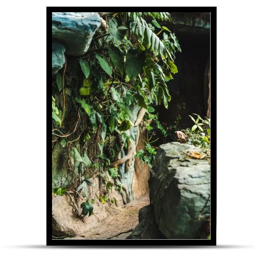 scenic shot of path into cave in jungle covered with green leaves