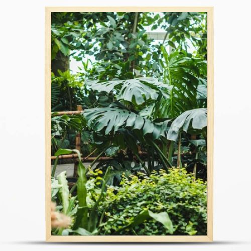 tropical rainforest greenhouse with various plants