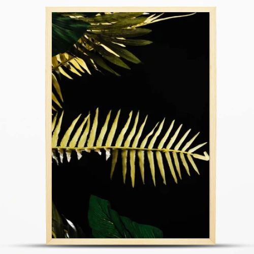 Monstera and fern leaves isolated on black