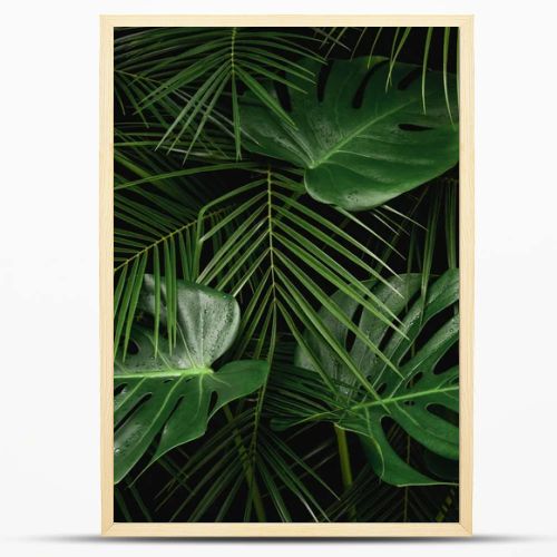 Night in tropical rainforest. Monstera and palm leaves covered with rain drops jungle pattern. Fresh green natural eco concept.