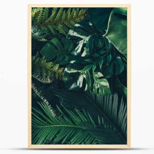 Creative nature background. Green tropical palm leaves. Minimal summer abstract jungle or forest composition. Contemporary style.