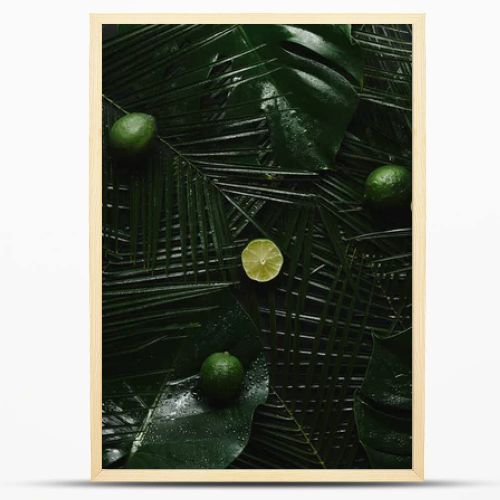 top view of fresh limes and beautiful green wet tropical leaves