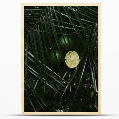 close-up view of whole and sliced limes and beautiful green wet tropical leaves 