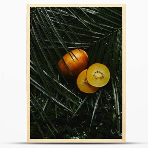 close-up view of whole and sliced yellow kiwi and beautiful green wet tropical leaves 