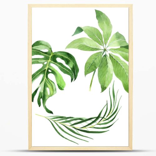 Exotic tropical hawaiian green palm leaves isolated on white. Watercolor background set. 