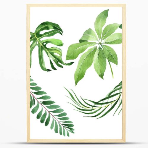 Exotic tropical hawaiian green palm leaves isolated on white. Watercolor background set. 