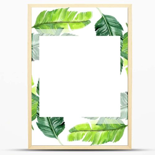 Exotic tropical hawaiian palm tree leaves isolated on white. Watercolor background illustration set. Frame ornament with copy space.
