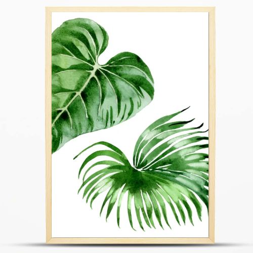 Exotic tropical hawaiian palm tree leaves isolated on white. Watercolor background illustration set. 