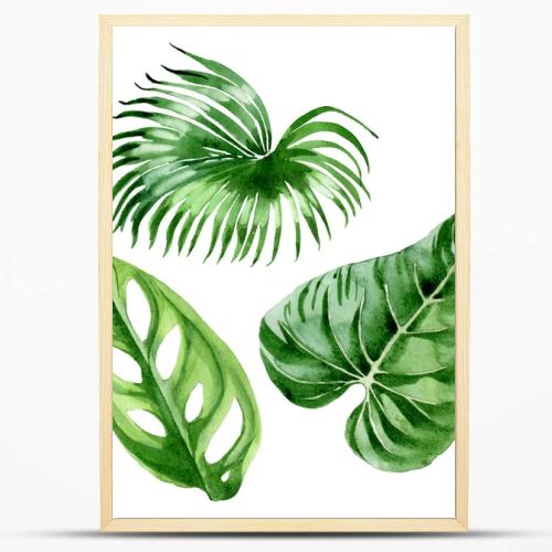 Exotic tropical hawaiian palm tree leaves isolated on white. Watercolor background illustration set. 