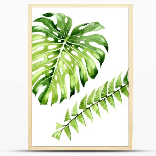 Palm beach tree leaves jungle botanical. Watercolor background illustration set. Isolated leaf illustration element.