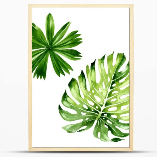 Palm beach tree leaves jungle botanical. Watercolor background illustration set. Isolated leaf illustration element.