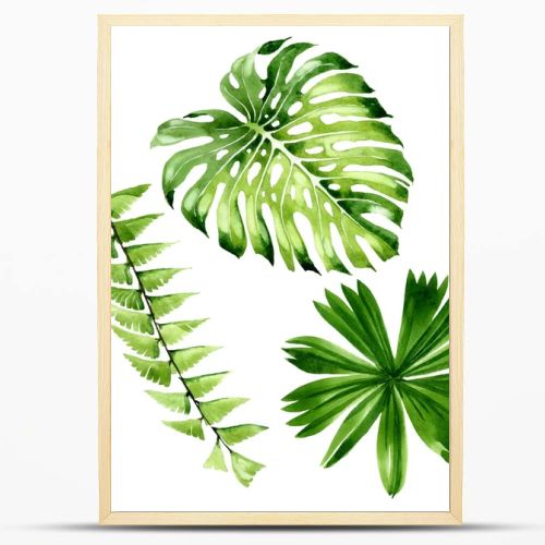 Palm beach tree leaves jungle botanical. Watercolor background illustration set. Isolated leaf illustration element.