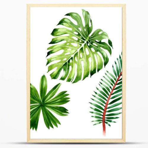 Palm beach tree leaves jungle botanical. Watercolor background illustration set. Isolated leaf illustration element.