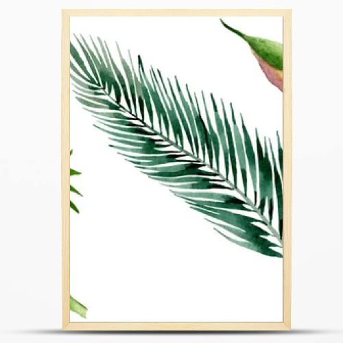 Palm beach tree leaves jungle botanical. Watercolor background illustration set. Isolated leaves illustration element.