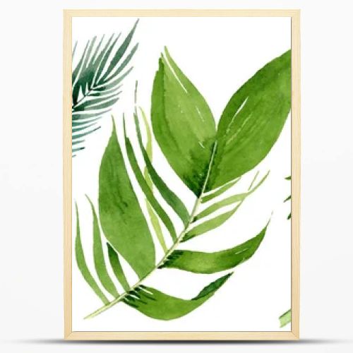 Palm beach tree leaves jungle botanical. Watercolor background illustration set. Isolated leaves illustration element.