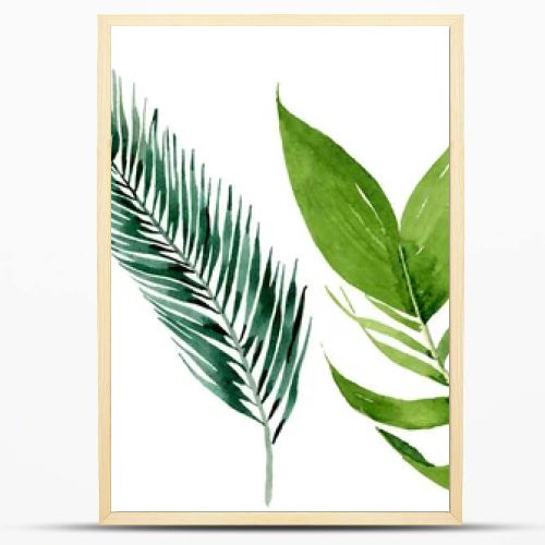 Palm beach tree leaves jungle botanical. Watercolor background illustration set. Isolated leaves illustration element.