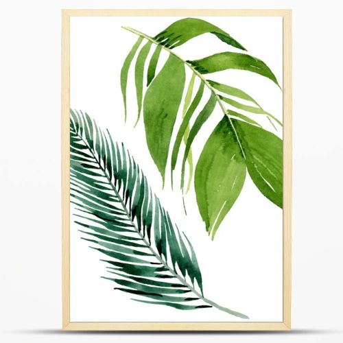 Palm beach tree leaves jungle botanical. Watercolor background illustration set. Isolated leaves illustration element.