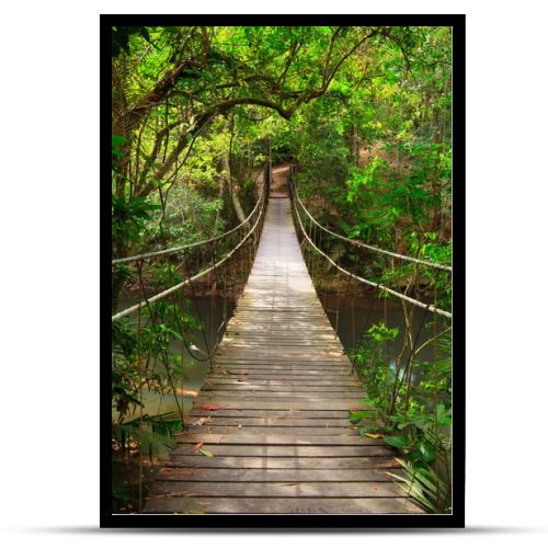 Bridge to the jungle,Khao Yai national park,Thailand