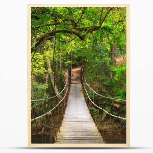 Bridge to the jungle,Khao Yai national park,Thailand