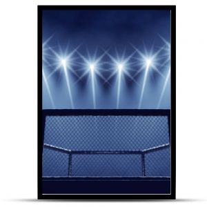 Klatka MMA i oświetlenie areny MMA