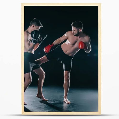 shirtless muscular mma fighter in boxing gloves kicking another in leg