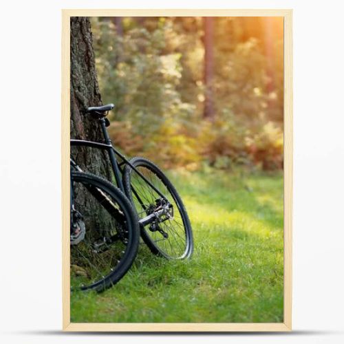 Bicycle with carbon base parked in the forest. Safety helmet protection. Hiking and bicycle travel. Family holiday. Active way of travelling.