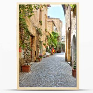 Quaint street lined with plants outside historic buildings in the medieval old town of Orvieto, Umbria, Italy