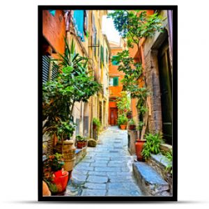 Colorful plant lined old street in the Cinque Terre village of Vernazza, Italy