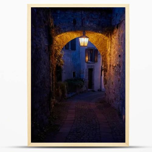 The landscape of Saint-Saphorin at night. The village located in the Swiss canton of Vaud, on the shore of Lake Geneva (Lac Leman), in the district of Lavaux-Oron.