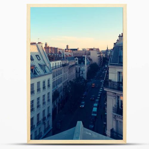 Paris. View of the city roofs.