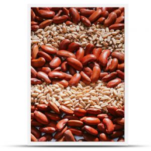 Close up of Red beans and farro