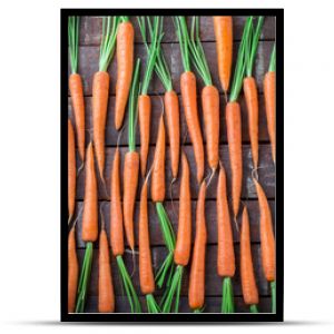 Carrot overhead group lined up on old rustic brown wooden table in studio