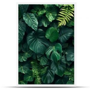 Dark green plants growing in a lush foliage background of tropical leaves like anthurium, epiphytes, or ferns, forming a beautiful green plant wall design in a cloud forest.